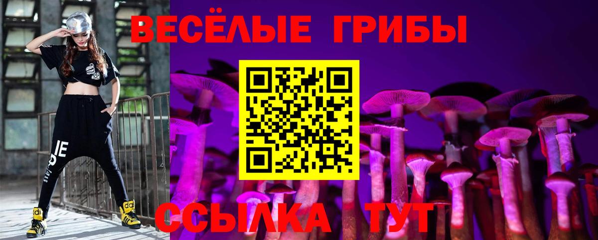 Галлюциногенные грибы ЛСД Черкесск