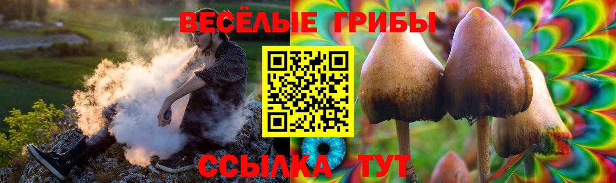 Черкесск  Галлюциногенные грибы Magic Shrooms  Вход с VPN 